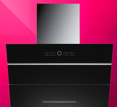 生產(chǎn)廠家直供抽油煙機,雙核純銅線、超靜音雙電機,吸力強勁圖片_高清圖_細節(jié)圖-深圳市龍崗區(qū)小優(yōu)廚房電器廠 -