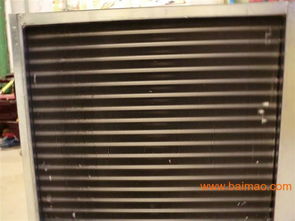 青州新型溫室 多功能大棚助力農業(yè)現(xiàn)代化 —— 徐素紅生產廠家詳解